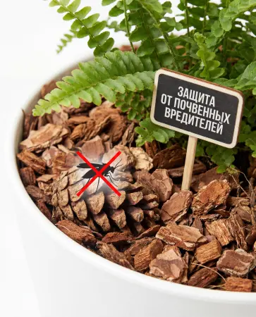Мульча для комнатных растений из шишек резаных 500 гр