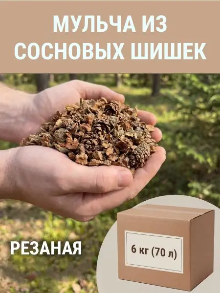 Мульча для комнатных растений из шишек резаных 6 кг